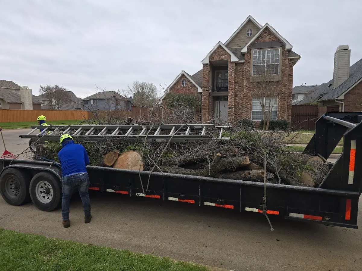 Expert Crown Reduction with proper safety equipment in Glen Oaks